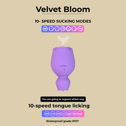 Velvet Bloom™ – Dual Sensation Rose