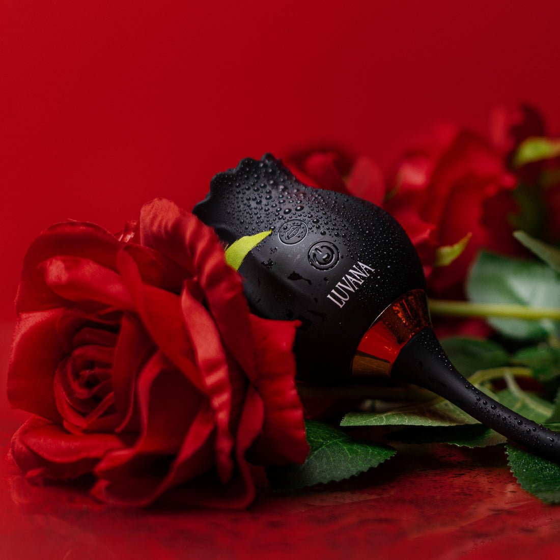 Luvana Obsidian Rose rose-shaped clitoral vibrator in black, product shot with red roses on a red background