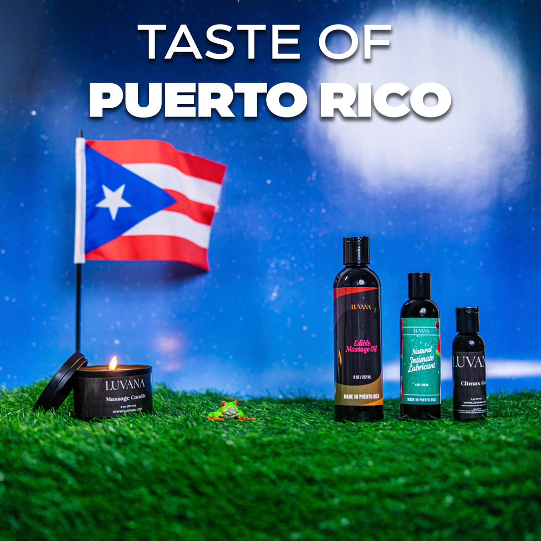 Taste Of Puerto Rico